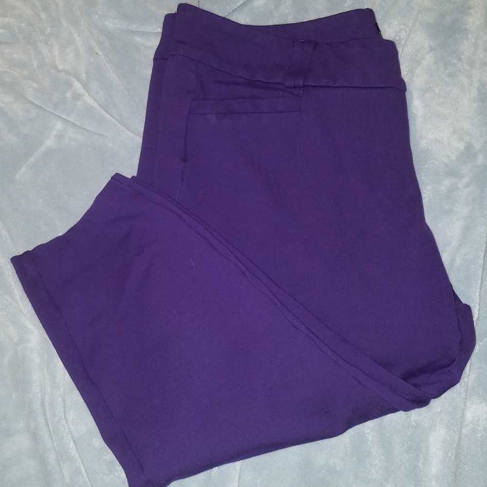 Ponte pants